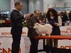 INT. EXPO' PADOVA 2013