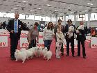 PARMA 2014 SPECIAL EXPO 