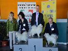 CH. SENZAFINE DELLA VOLPE BIANCA; Ripr. Selez. Enci; CH. IT; CH. World junior 2015; CH. Soc. junior