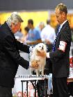 WORLD DOG SHOW MILANO 2015