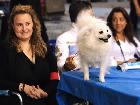 WORLD DOG SHOW MILANO 2015